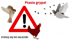 plakat_soltysi.pdf